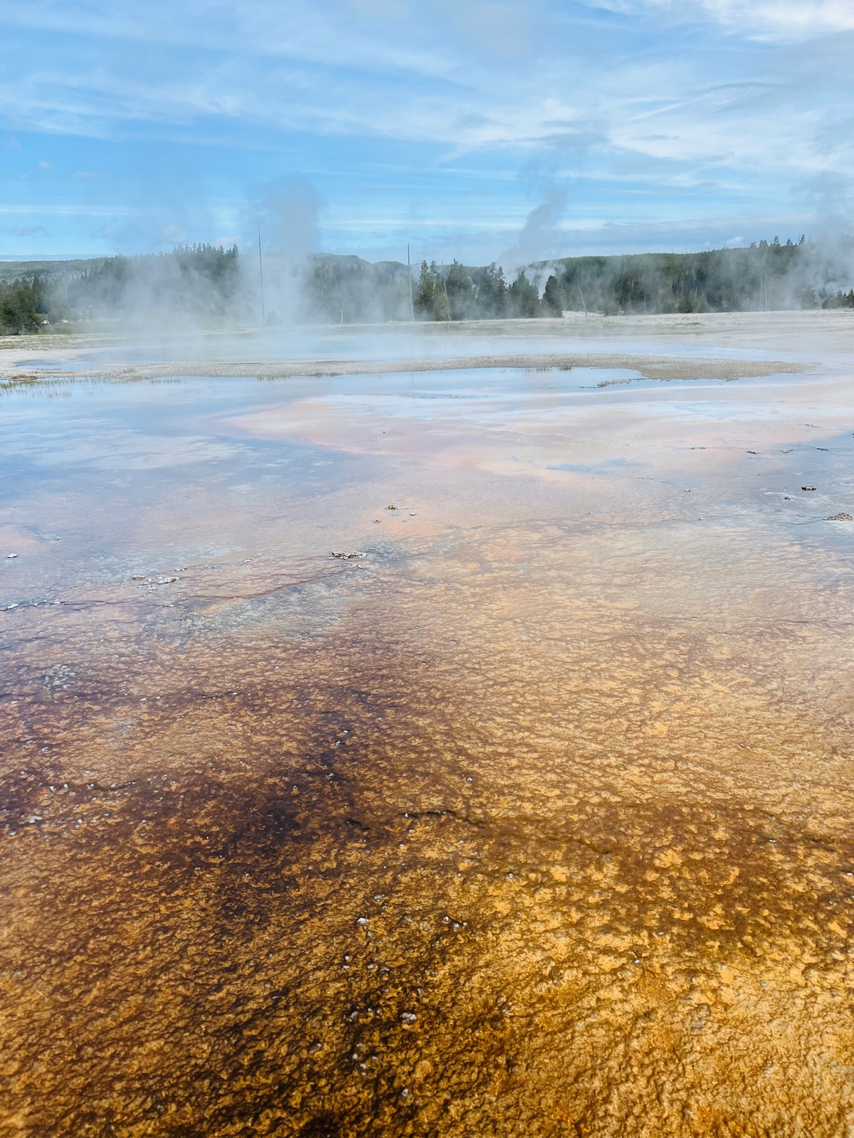 Upper Geyser Basin 