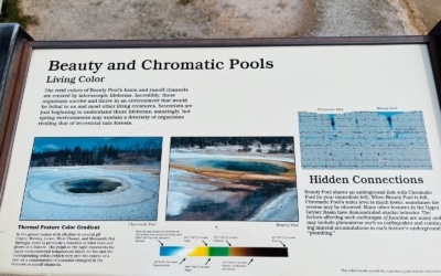 Upper Geyser Basin