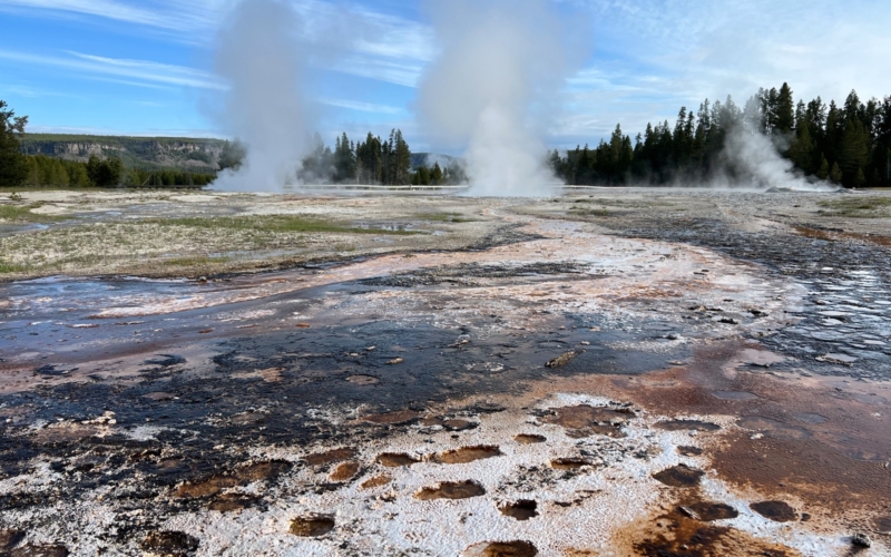 Upper Geyser Basin 