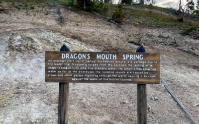 Mud Volcano Area
