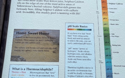 Sulphur Caldron