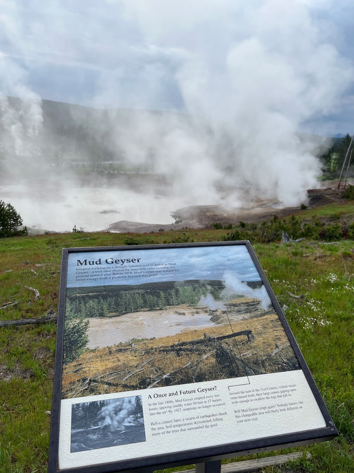 Mud Volcano Area