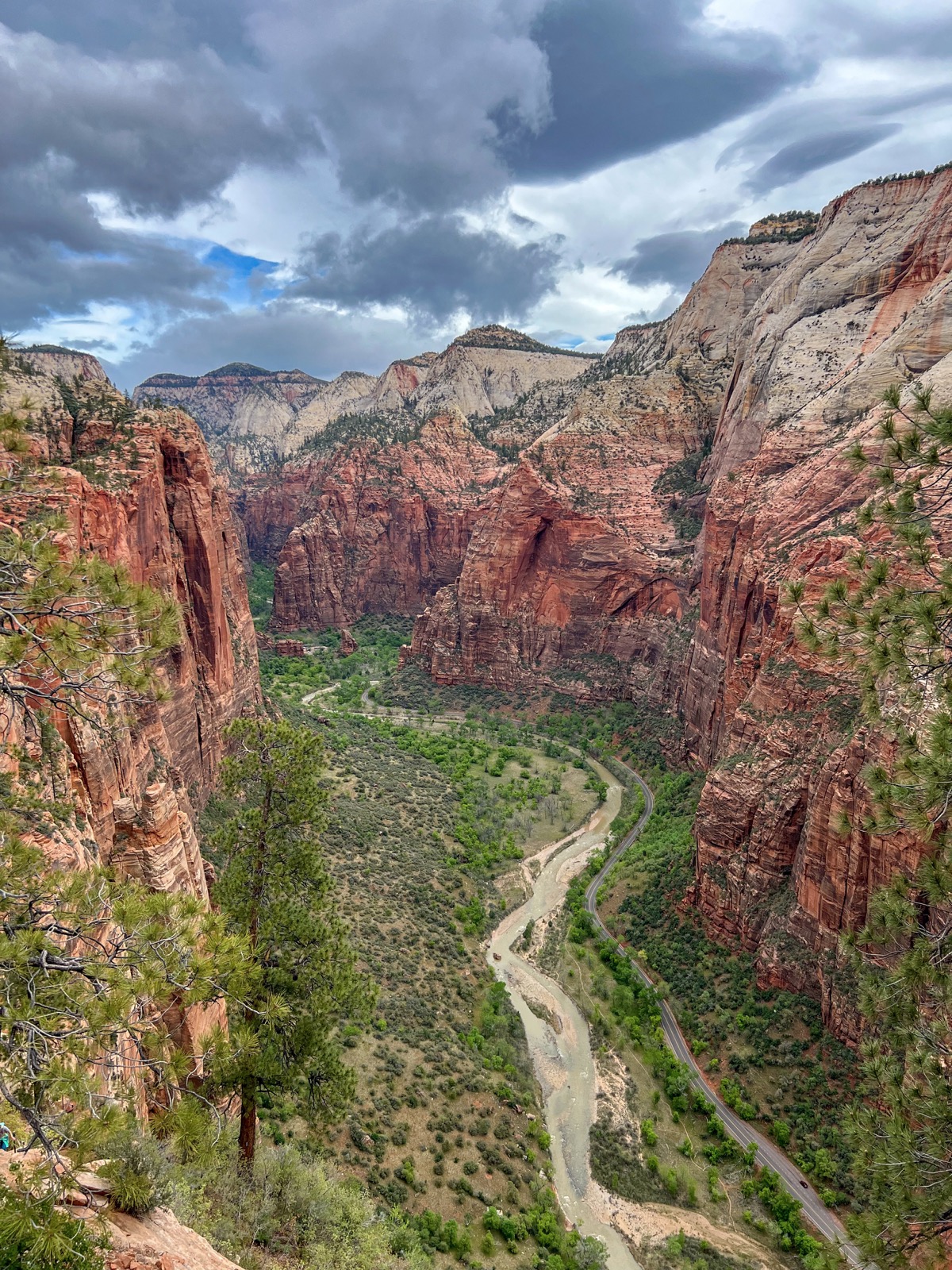Zion NP