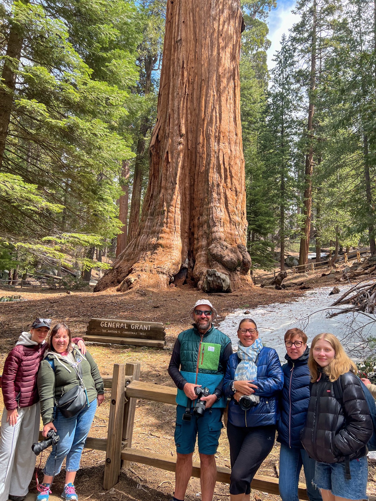 California Girls à Sequoia