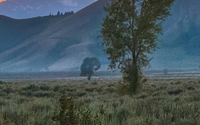 Gros Ventre Campground