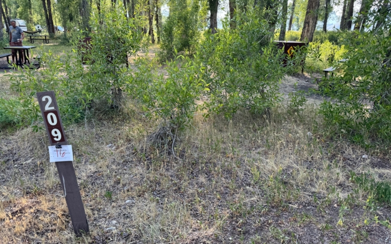 emplacement Gros Ventre camping
