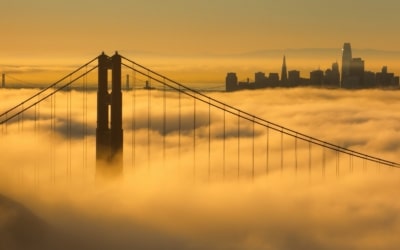 Hawk Hill