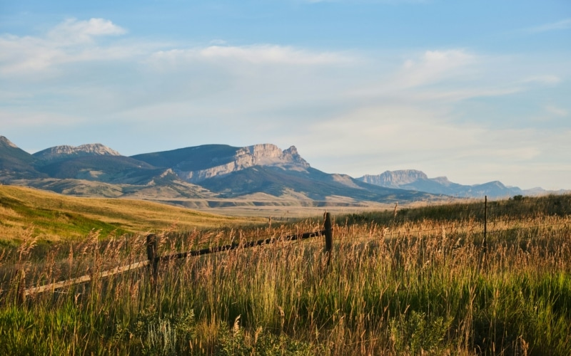 Montana