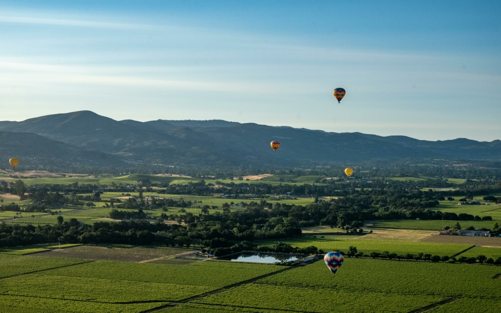Napa Valley