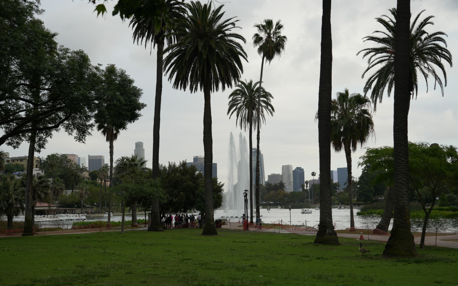 echo park los angeles mai 2025