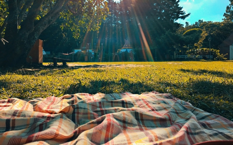 picnic pique nique