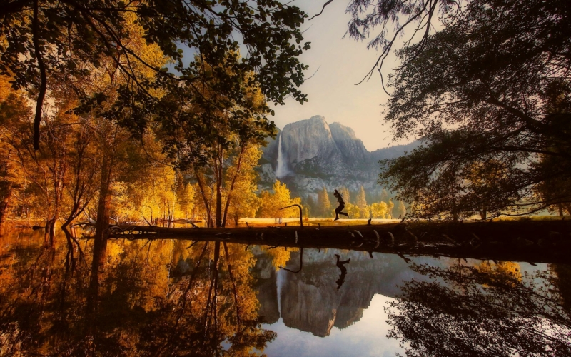 yosemite automne feuillage