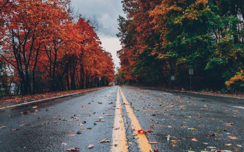 automne fall route