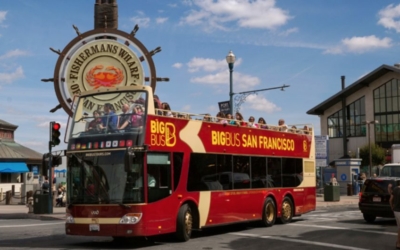 Hop On Hop Off bus tour