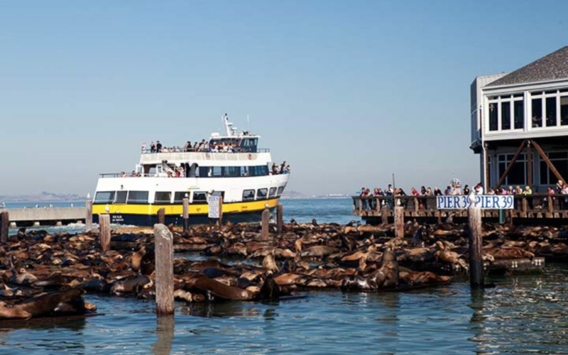 croisière San francisco