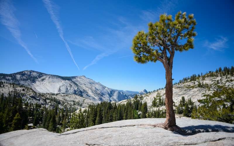 Olmsted Point